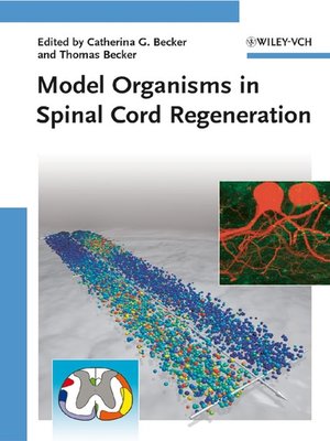 cover image of Model Organisms in Spinal Cord Regeneration
